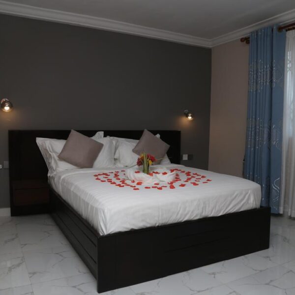 Accommodation Special Package: Breakfast, Lunch/Dinner, and Boat Ride to Adomi Bridge for Two